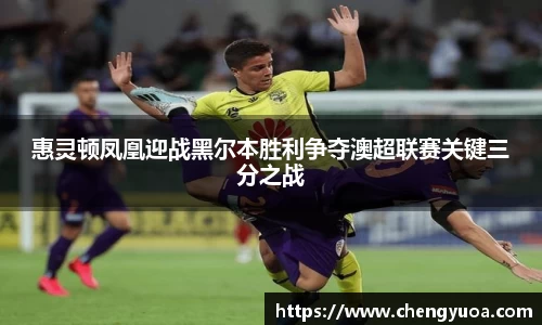 惠灵顿凤凰迎战黑尔本胜利争夺澳超联赛关键三分之战
