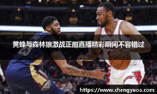黄蜂与森林狼激战正酣直播精彩瞬间不容错过